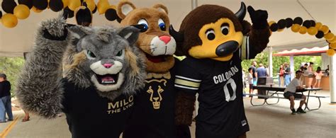 cu do gay|University of Colorado Athletics.